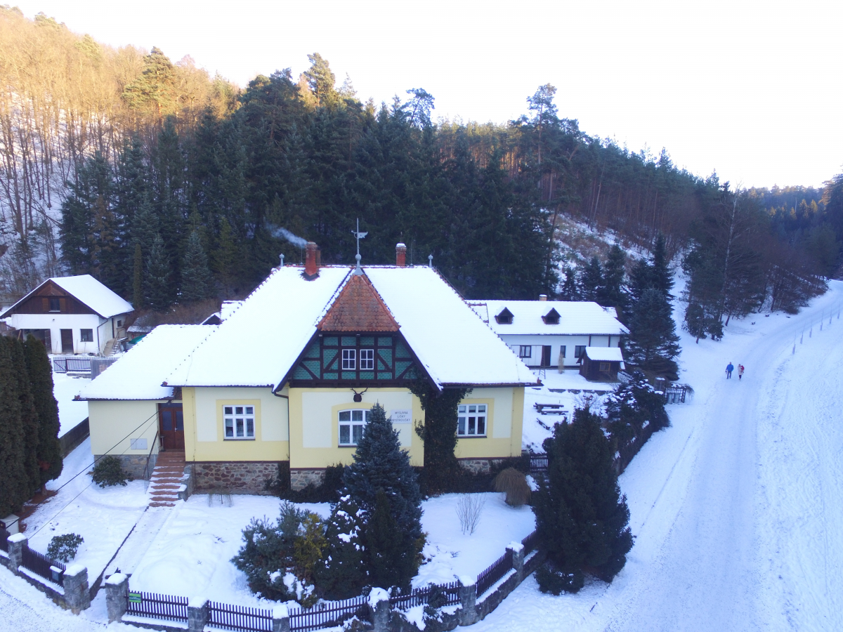 DJI 0403